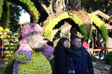 IMG_0101.JPG IMG_0101.JPG