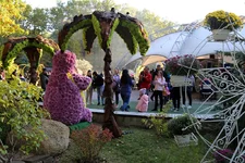 IMG_0103.JPG IMG_0103.JPG