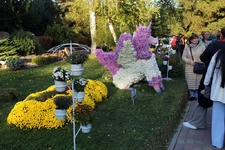 IMG_0113.JPG