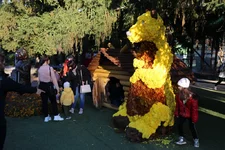 IMG_0124.JPG