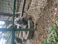 IMG_20211004_142342.webp