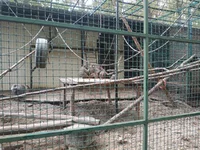 IMG_20211004_142207.webp