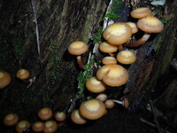 DSCN6809.jpg