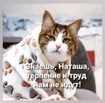 E82F7A50-5422-426A-8EA1-EF72A2D73D7D.webp