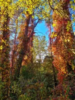 20211009_173903.webp