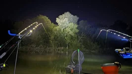 FB_IMG_1633862646398.webp