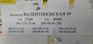  49.webp