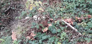 20211014_143040.webp