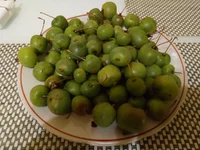 IMG_20211015_221234.webp