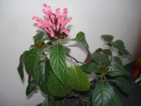 DSC02757.webp