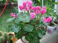 DSC02771.webp