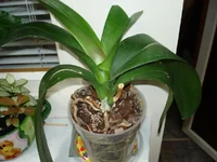 DSC02777.webp