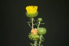 z_8ee5a4c5.webp
