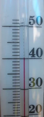 40.webp