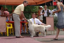 курск моно и цациб 2010 174.jpg