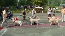  моно и цациб 2010 160.webp