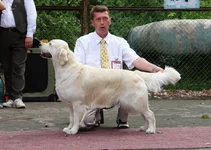 курск моно и цациб 2010 187.jpg
