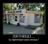 tmpjMRGDt.webp