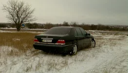 005.webp