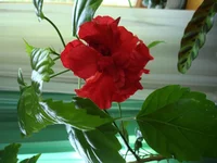 DSC02860.webp