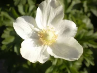 P7310342.webp