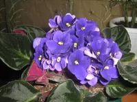  013.webp