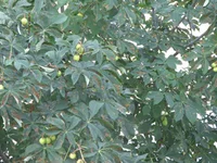 IMG_6469.webp