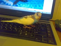 020820102417.webp