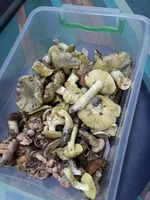 20160917_0812100.webp