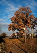 Untitled-2 (1).webp