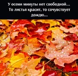 FB_IMG_1635065843561.webp