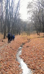 IMG_20211024_110809575~2.webp