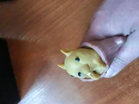 IMG_20211025_131503.webp