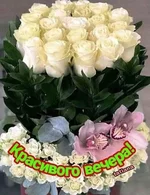 FB_IMG_1635174644093.jpg