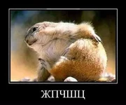 FB_IMG_1635222291638.webp