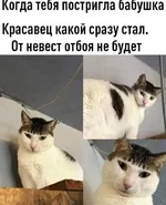 FB_IMG_1635238587636.jpg