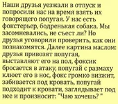 FB_IMG_1635239893844.jpg