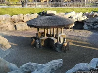 IMG_20211026_160719.webp