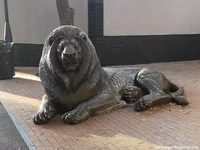IMG_20211026_161042.webp