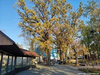 IMG_20211026_161205.webp