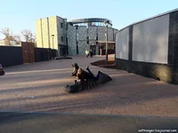 IMG_20211026_161210.webp