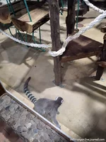 IMG_20211026_161516.webp