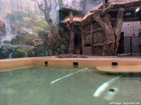 IMG_20211026_161553.webp