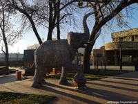 IMG_20211026_161801.webp