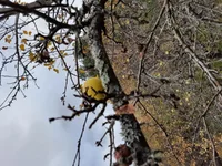 20211024_163644.webp
