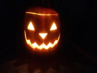 IMG_20211031_180550.jpg
