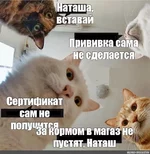 24926711823504664017559564158281881761110271n_6181448a19ff0.webp