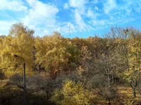 IMG_20211017_140850.webp