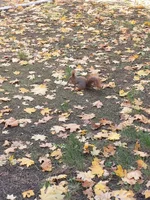 20211017_135111.webp