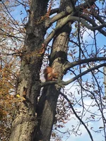 20211017_142946.webp